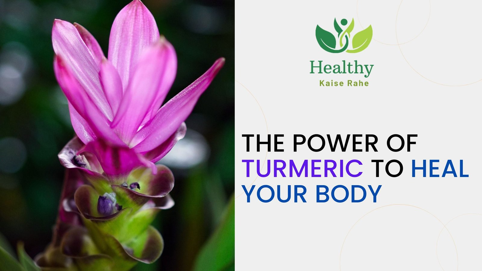 The Power of TURMERIC to Heal Your Body